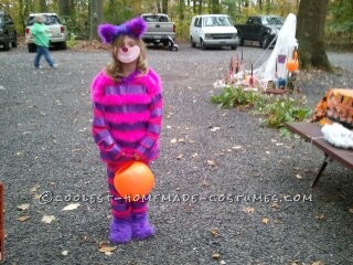 My daughter wanted to be the Cheshire Cat from Alice in Wonderland in the worst way, but the costumes were not what I would want my daughter to wear,