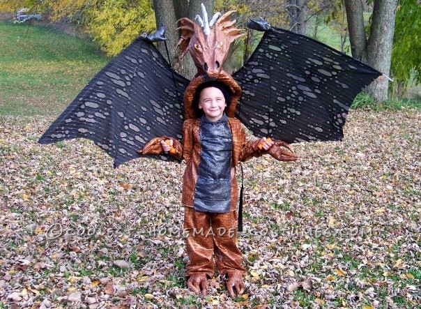 My five year old son was very excited about being a dragon this year. The Homemade Dragon Boy Costume did not appear to be complicated until we got s