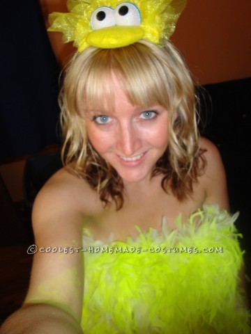  It all started with a big bird headband I bought at a second hand store. I thought, \