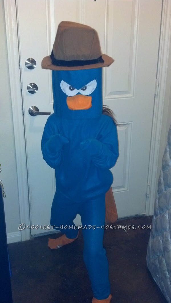 My 9 year old wanted to be Perry so I searched for material and the fun began.  I used and old sweatshirt and old sweats (that fit) to cut a pat
