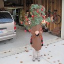 My son has been very creative at coming up with costumes.  One year he really wanted to be an apple tree, so we did our best to oblige & thi