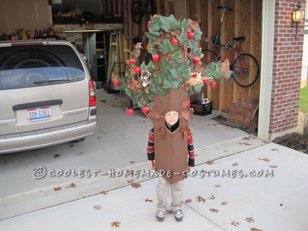 My son has been very creative at coming up with costumes.  One year he really wanted to be an apple tree, so we did our best to oblige & thi