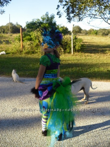 This costume was a labor of love.  My lovely daughter Mitrian decided she wanted to be a peacock with a giant tail with real feathers.  She