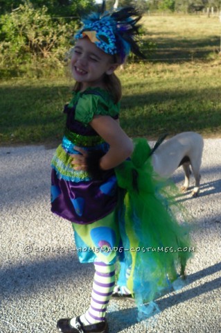 This costume was a labor of love.  My lovely daughter Mitrian decided she wanted to be a peacock with a giant tail with real feathers.  She