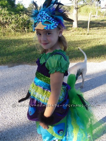 This costume was a labor of love.  My lovely daughter Mitrian decided she wanted to be a peacock with a giant tail with real feathers.  She