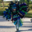This costume was a labor of love.  My lovely daughter Mitrian decided she wanted to be a peacock with a giant tail with real feathers.  She