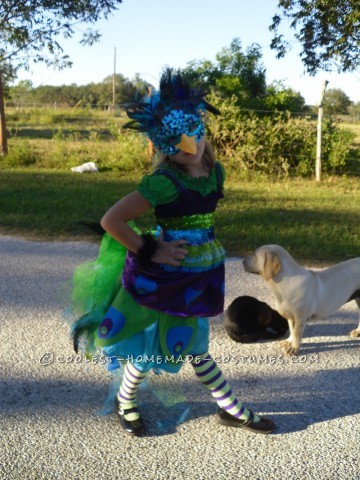 This costume was a labor of love.  My lovely daughter Mitrian decided she wanted to be a peacock with a giant tail with real feathers.  She