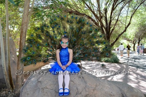 I started off with a dance leotard that my daughter had from a recital.  I got the feathers from friends and an online resource.  Steps to