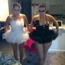 My best friend and I wanted to a duo costume for Halloween 2011 at Ohio University. We both loved the movie \"Black Swan\" and wanted to go as th