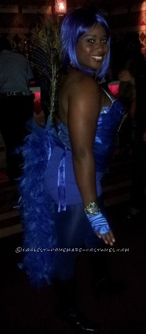 This costume was inspired by favorite color blue. I purchased a white corset from fredricks and covered with blue ribbon. The peacock feathers I took