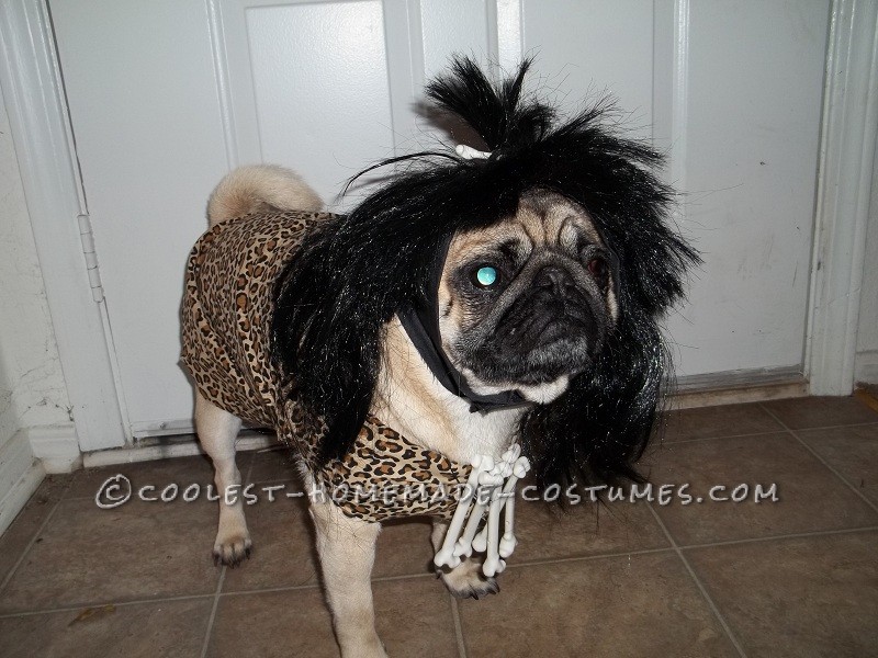 Coolest Cavedog Dog Costume