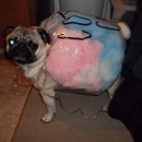 Coolest Cotton Candy Dog Costume Idea