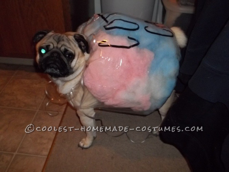 Coolest Cotton Candy Dog Costume Idea - Dog Halloween Costume Ideas