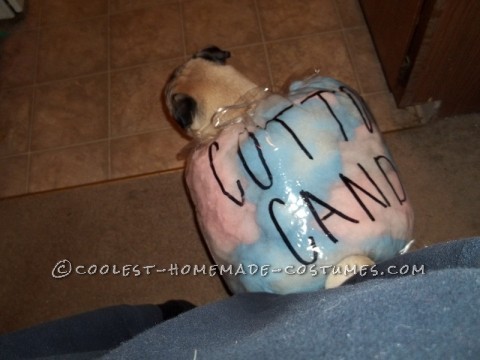 Coolest Cotton Candy Dog Costume Idea