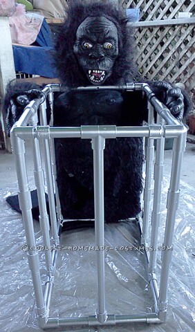 This Hawa she loves wild animals she is a wild animal too LOL. Hawa want to be a gorilla she we made her one, and I decided to put her in a cage that