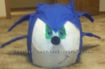 I decided to go as Sonic The Hedgehog this year, but knew I'd run into problems. The only way to get the costume was to to make it, couldn't fi