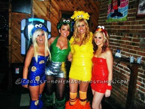 Hi, Im Megan and these are my friends and mine Sesame Street 2012 costumes. Im Cookie Monster, Emily is Oscar, Shelby is Big Bird and Brittney is Elm