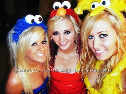 Hi, Im Megan and these are my friends and mine Sesame Street 2012 costumes. Im Cookie Monster, Emily is Oscar, Shelby is Big Bird and Brittney is Elm