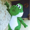 This Yoshi  costume was requested by my daughter and her friends. It is an iconic video game character and most children and young adults can ea