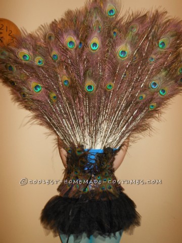 I have wanted to be a peacock for Halloween for several years now, and this year I finally decided to make my dream come true and make my own peacock