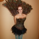 I have wanted to be a peacock for Halloween for several years now, and this year I finally decided to make my dream come true and make my own peacock