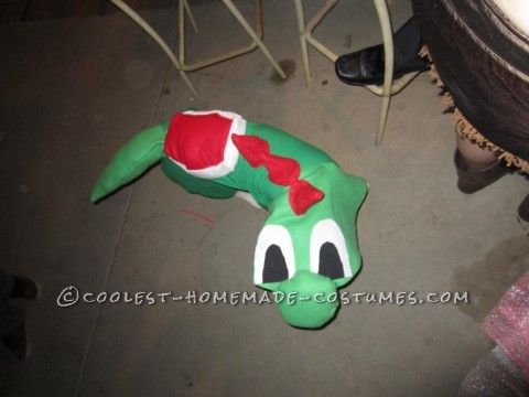 i made my dog's costume but using a green t-shit and a yard of green fabric and felt squars in red and white.  I cut the felt in the shape of a