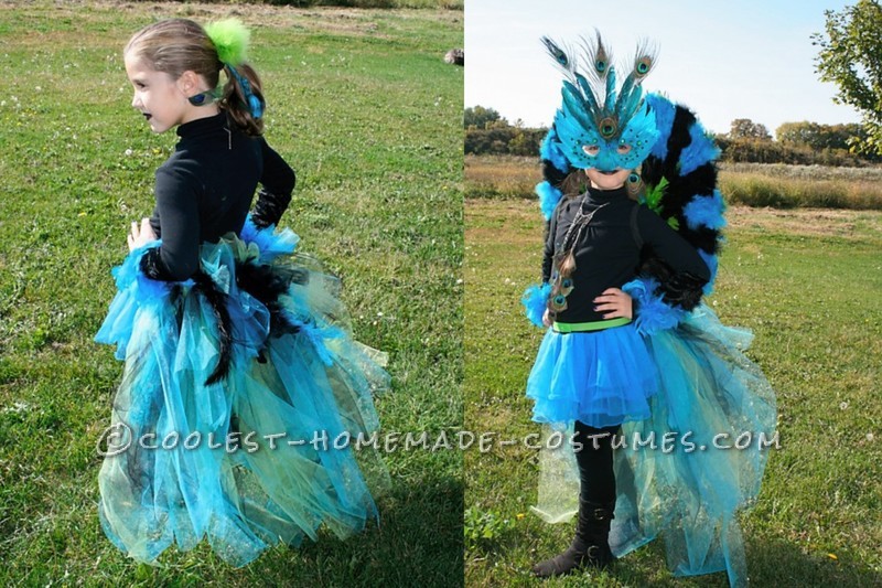 My Silvia was looking for a WOW costume... No better than a peacock costume to do that. Our main focus was her long, fluffy colorful bustle. We start