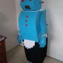 I was looking for something special for my wife’s costume when I came across the Rosie the Robot idea. So I made a trip to the recycling center