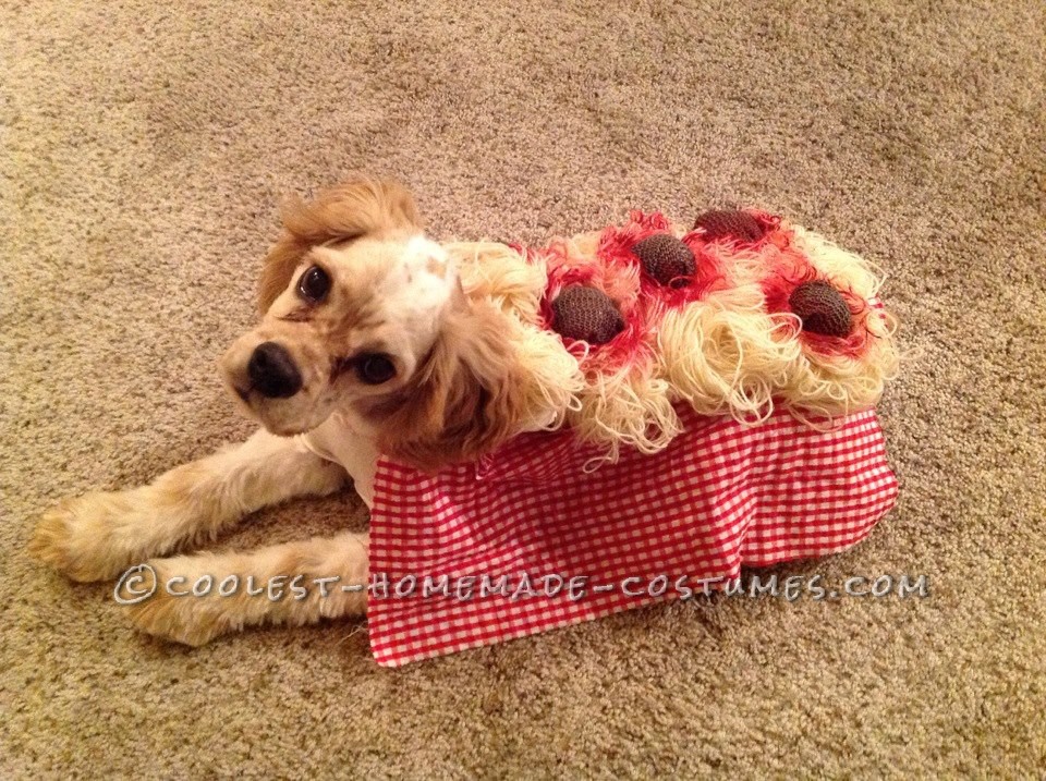 Coolest Spaghetti and Meatball Dog Costume - Dog Halloween Costume Ideas