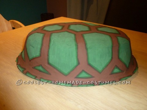 Coolest Teenage Mutant Ninja Turtles Girl Group Costume