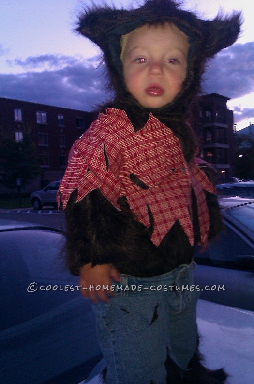 Littlest Wolfman Homemade Halloween Costume