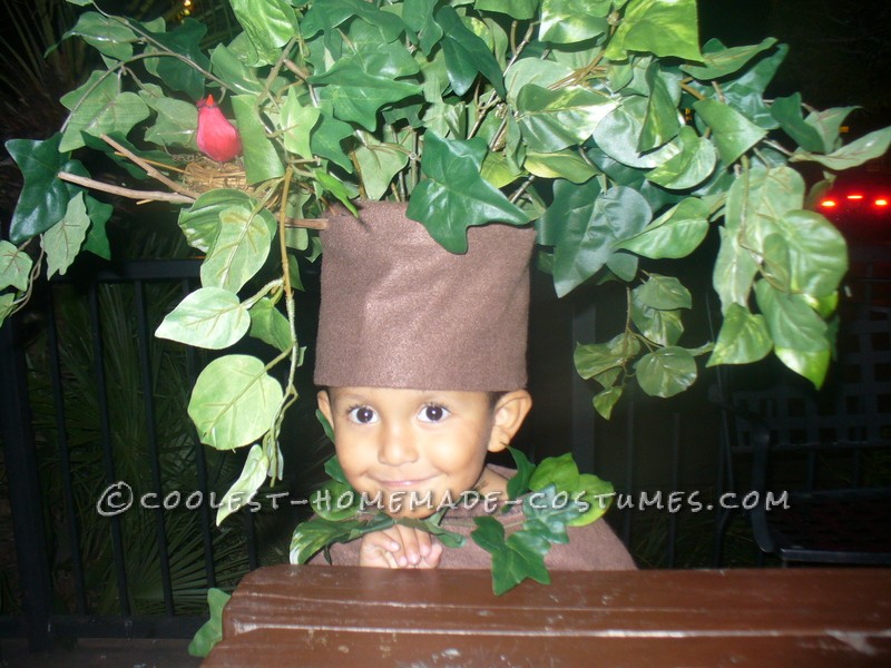 Our son wanted to be a scary tree and there are no "tree costumes" that we could buy so we got some material from Joanns and a lot of leafs from mi