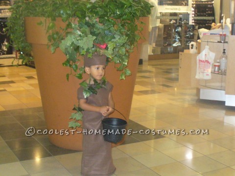 Our son wanted to be a scary tree and there are no 