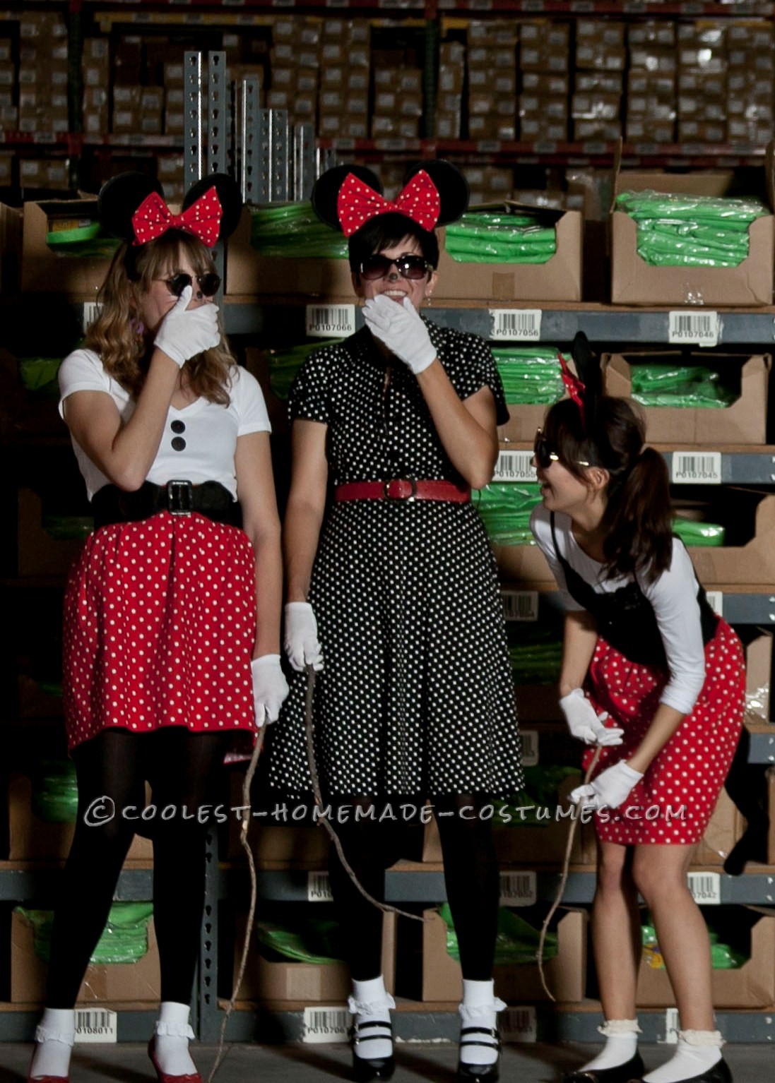 The Three Blind Minnie Mice costume idea was for a work custume contest. We wanted to come up with something different and somehow thought of doing t