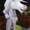 Every year I try to find a costume that has been done before, and then take it to a whole new level. This year was inspired by a ridiculous unicorn c