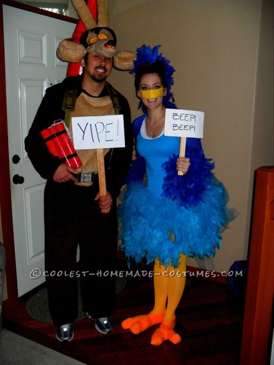 My husband and I went as Wile E. Coyote and The Roadrunner.  We LOVED this costume and so did all of our friends. Wile E. won 1st place in the c