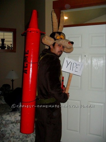 My husband and I went as Wile E. Coyote and The Roadrunner.  We LOVED this costume and so did all of our friends. Wile E. won 1st place in the c
