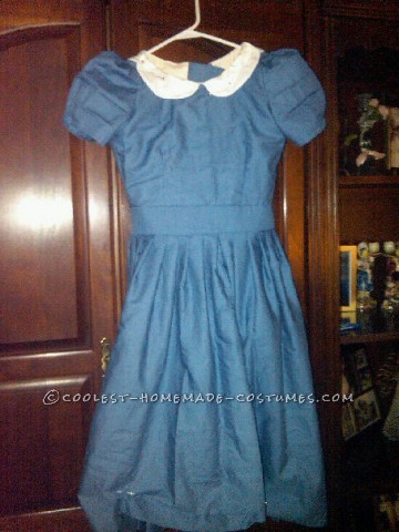 Homemade 1865 Alice in Wonderland with Hoopskirt Costume