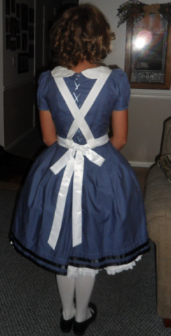 Homemade 1865 Alice in Wonderland with Hoopskirt Costume