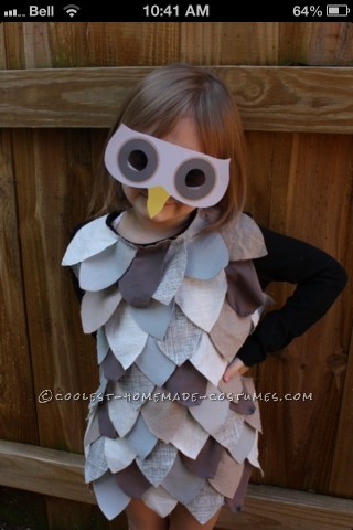 Best Woman's Owl Homemade Halloween Costume: I had several ideas in mind for my Halloween costume this year.  The costume ideas were Pocahontas, Disney Princess, cat and owl.  My decision to be
