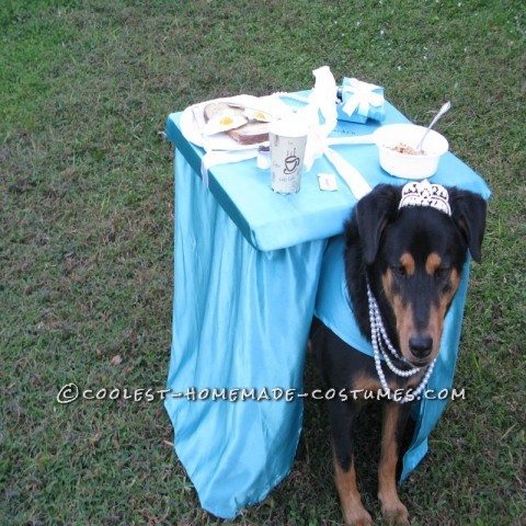 Breakfast at Tiffany's Owner and Dog Costume