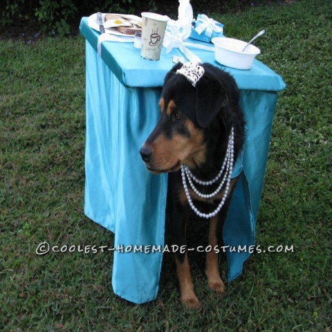 Breakfast at Tiffany's Owner and Dog Costume