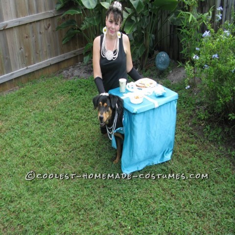 Breakfast at Tiffany's Owner and Dog Costume