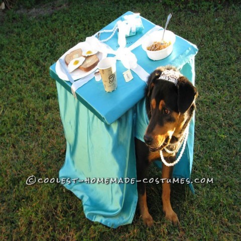 Breakfast at Tiffany's Owner and Dog Costume