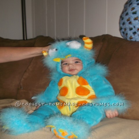 Silliest Baby Scully Costume from Monsters Inc.: This year I was blessed with my very first grandchild. On July 4th, 2012 Cayden was born at 8lbs 0oz and 21 inches! He has changed my life forever and