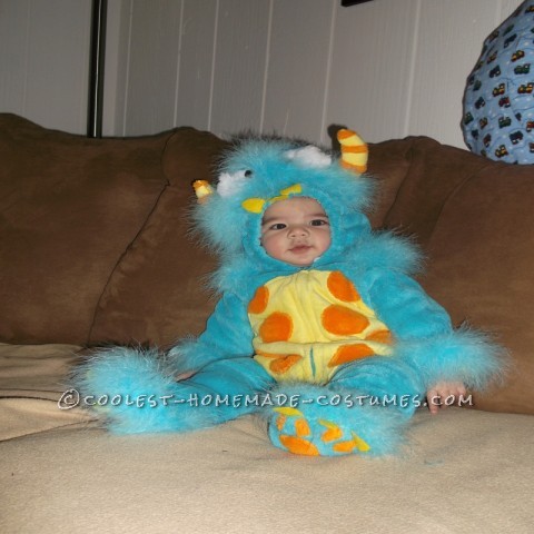 Silliest Baby Scully Costume from Monsters Inc.: This year I was blessed with my very first grandchild. On July 4th, 2012 Cayden was born at 8lbs 0oz and 21 inches! He has changed my life forever and