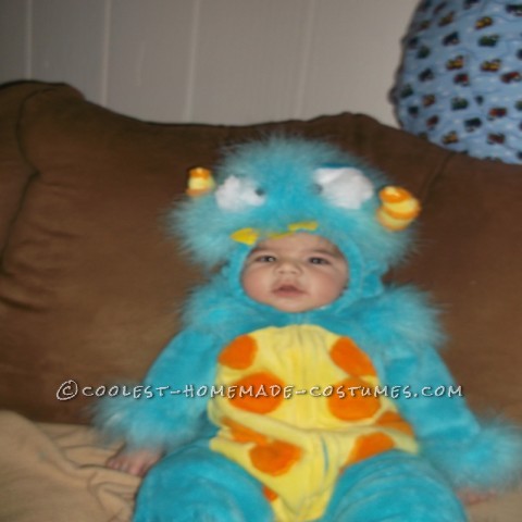 Silliest Baby Scully Costume from Monsters Inc.: This year I was blessed with my very first grandchild. On July 4th, 2012 Cayden was born at 8lbs 0oz and 21 inches! He has changed my life forever and