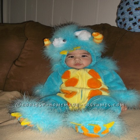 Silliest Baby Scully Costume from Monsters Inc.: This year I was blessed with my very first grandchild. On July 4th, 2012 Cayden was born at 8lbs 0oz and 21 inches! He has changed my life forever and