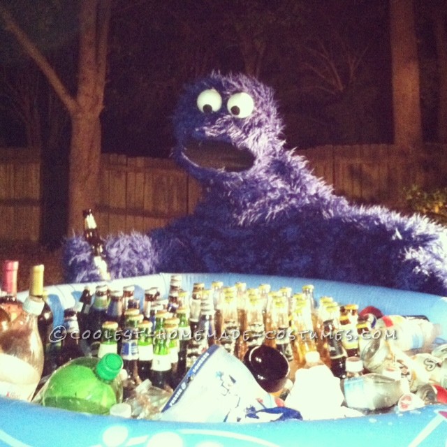 Coolest Adult Cookie Monster Costume