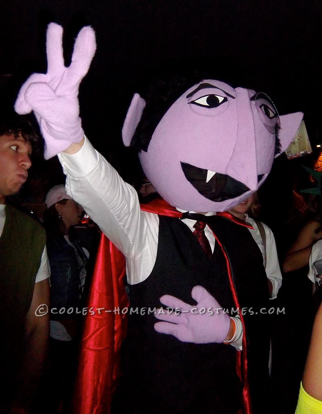 Coolest Homemade Count Von Count Costume